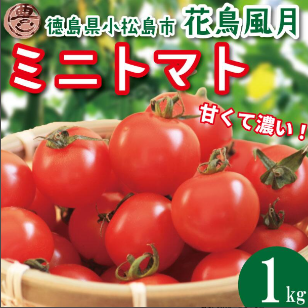 【選べるお届け月】 ミニトマト 1kg 花鳥風月 先行予約 トマト 水耕栽培 爽やか 甘い 野菜 やさい 国産 産地直送 数量限定 旬 フレッシュトマト 生野菜 新鮮 ソース 調味料 ケチャップ サラ